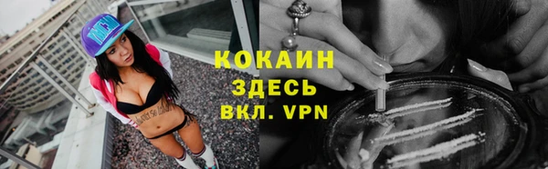 твердый Магас