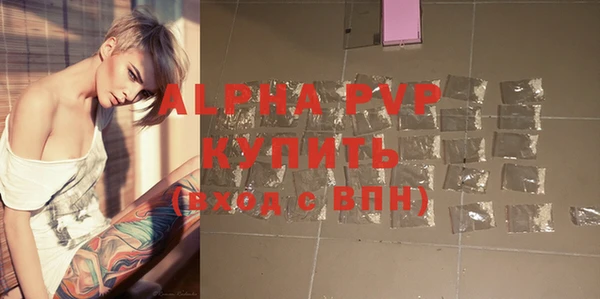 твердый Магас