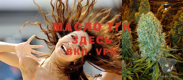 твердый Магас