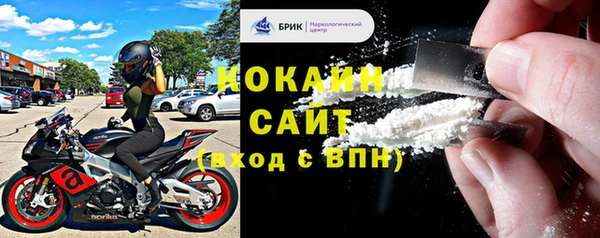 твердый Магас