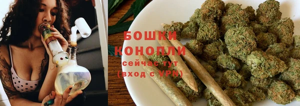 твердый Магас