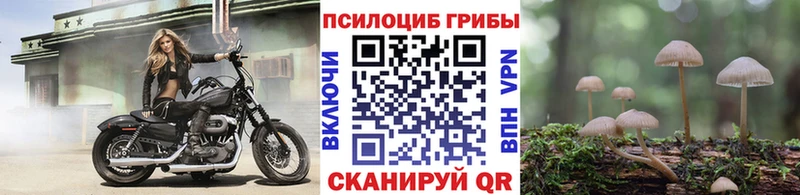 дарк нет телеграм  Усть-Лабинск  Галлюциногенные грибы прущие грибы  блэк спрут ссылки 