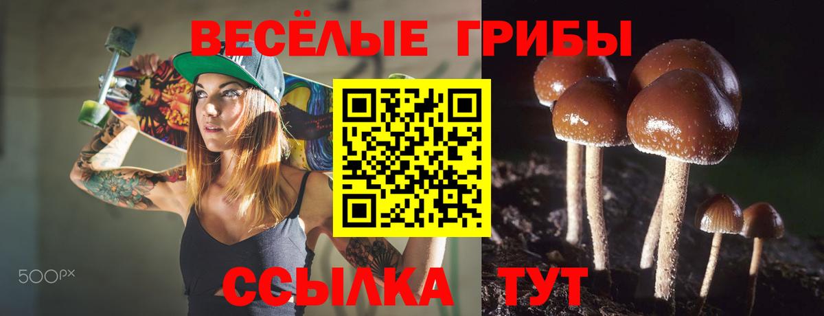 Усть-Лабинск  наркотики  Вход с VPN  Псилоцибиновые грибы GOLDEN TEACHER  Псилоцибиновые грибы мухоморы 